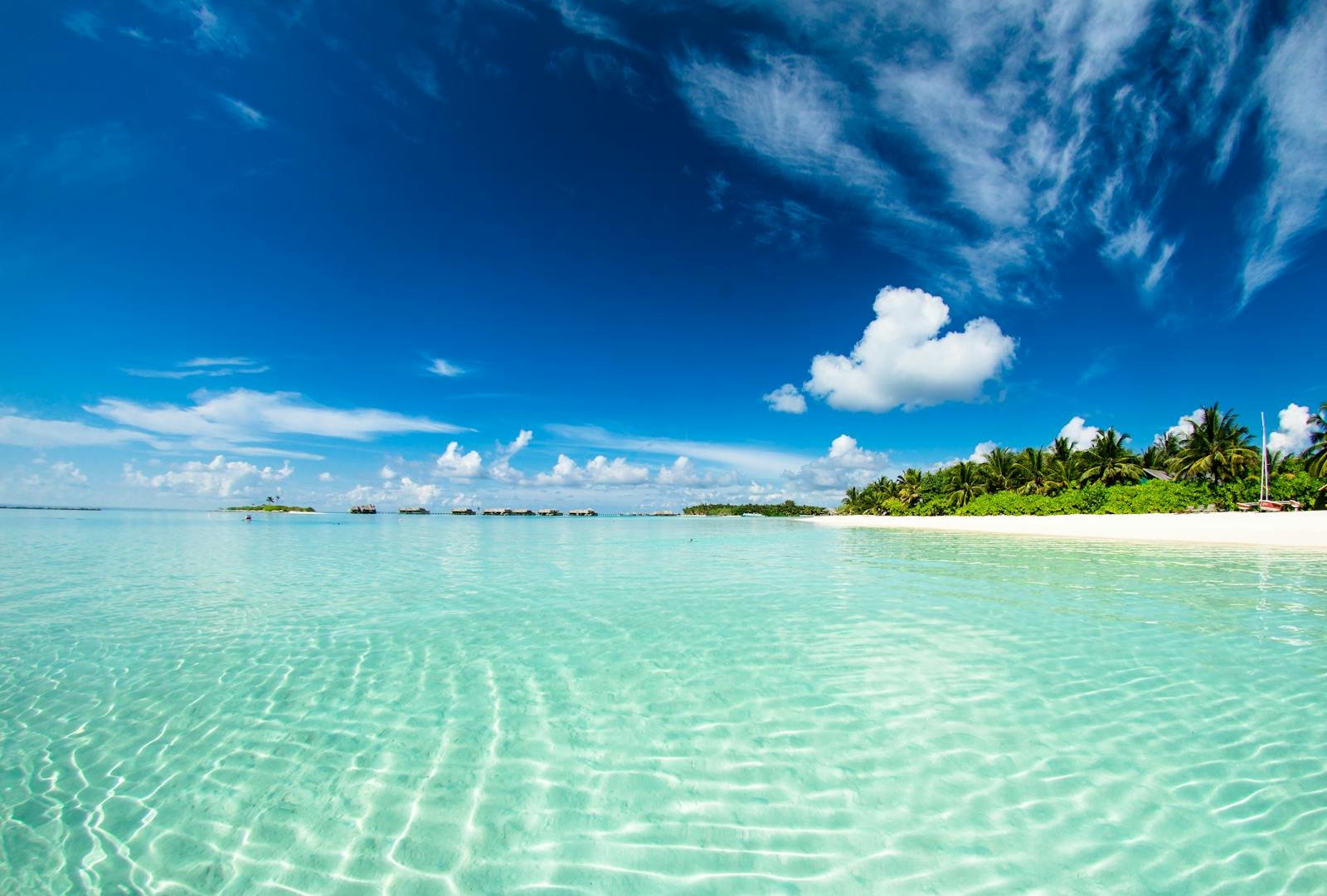 Turquoise lagoon on Zanzibar's east coast
