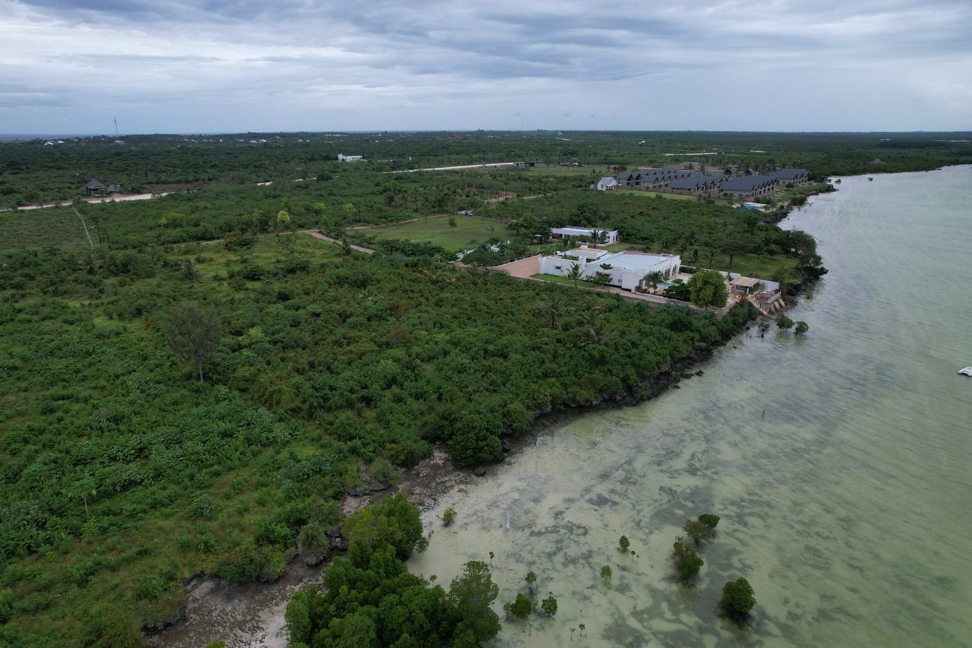 Michamvi Beachfront Estate — photo 8