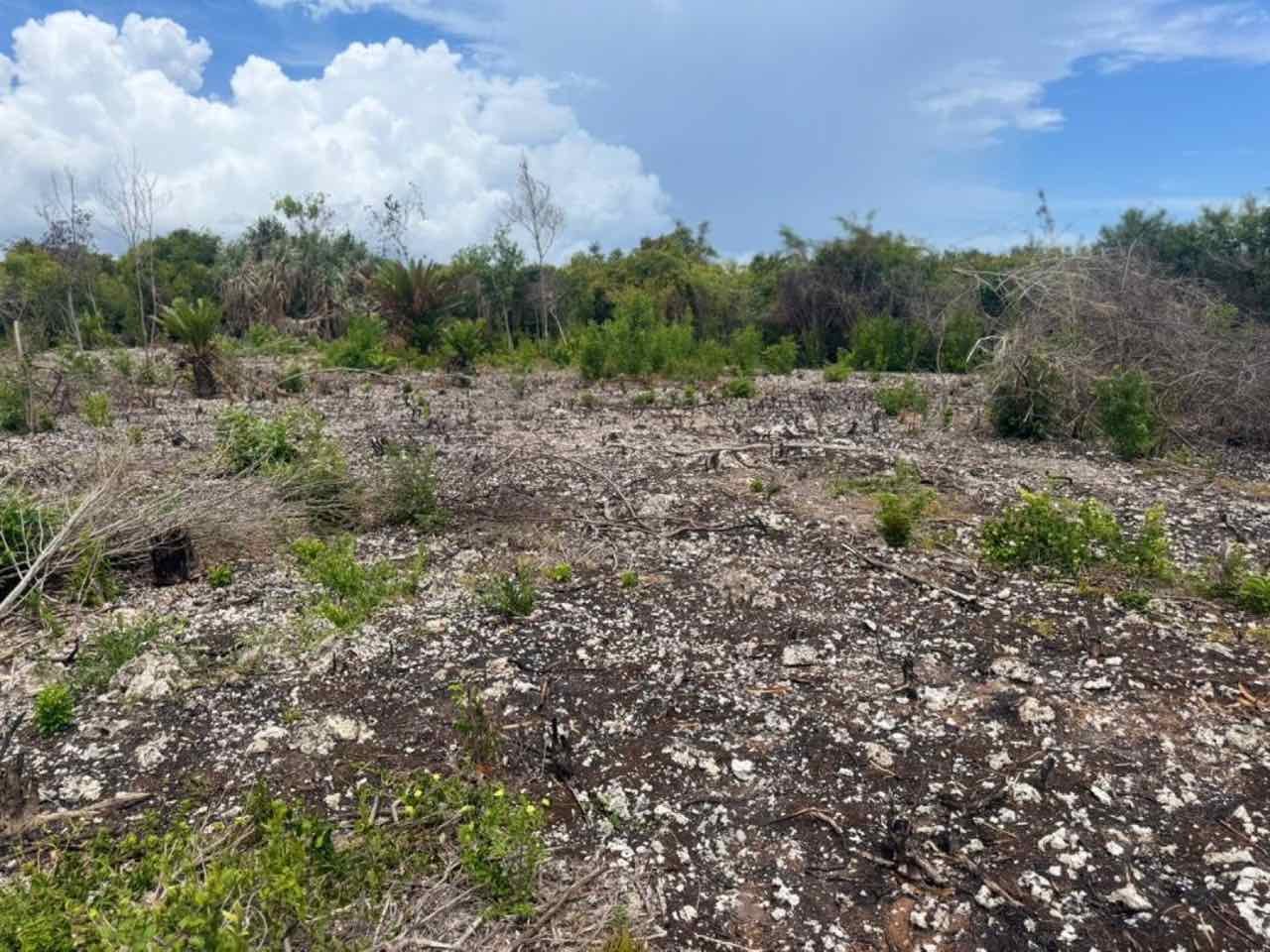 Pongwe/Uroa Coastal Parcel — view 2