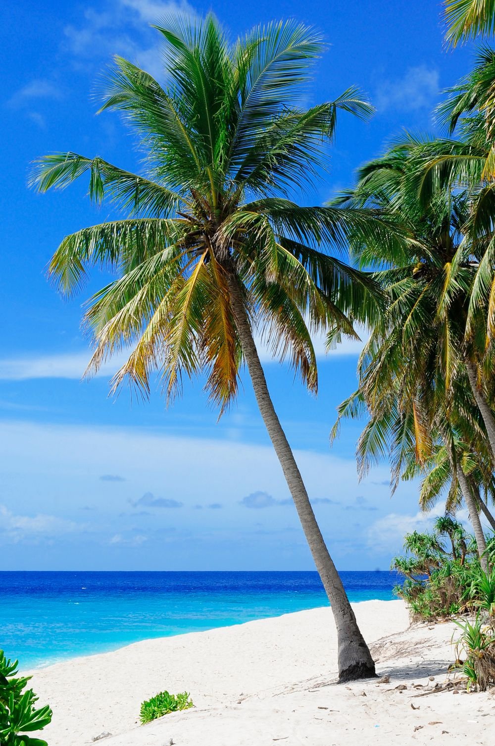 Bwejuu, Zanzibar