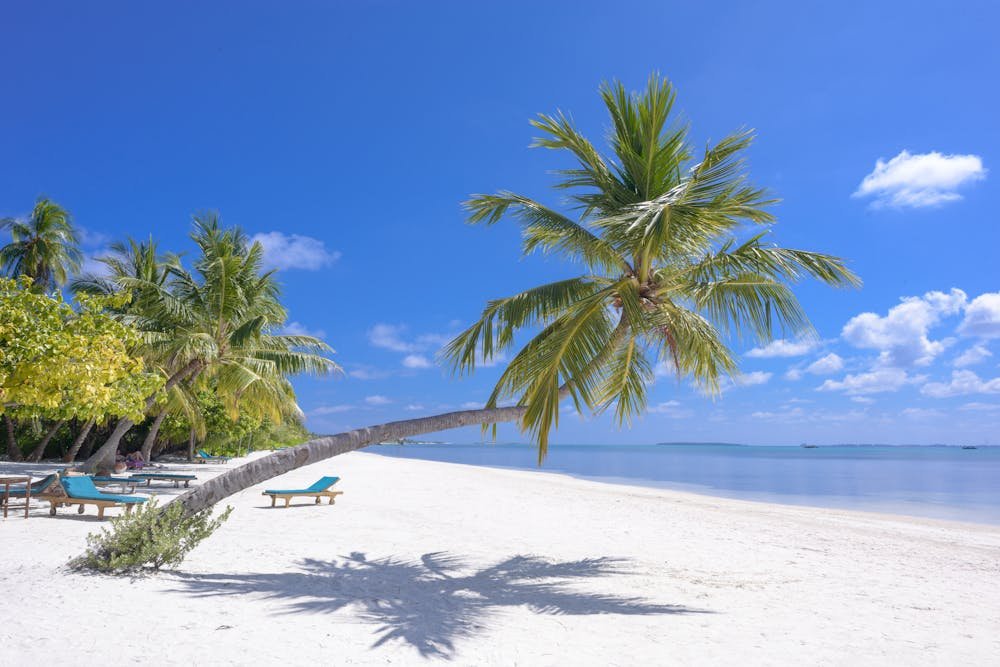 Nungwi, Zanzibar